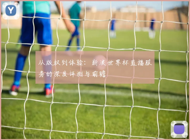 从版权到体验：新浪世界杯直播服务的深度评测与前瞻